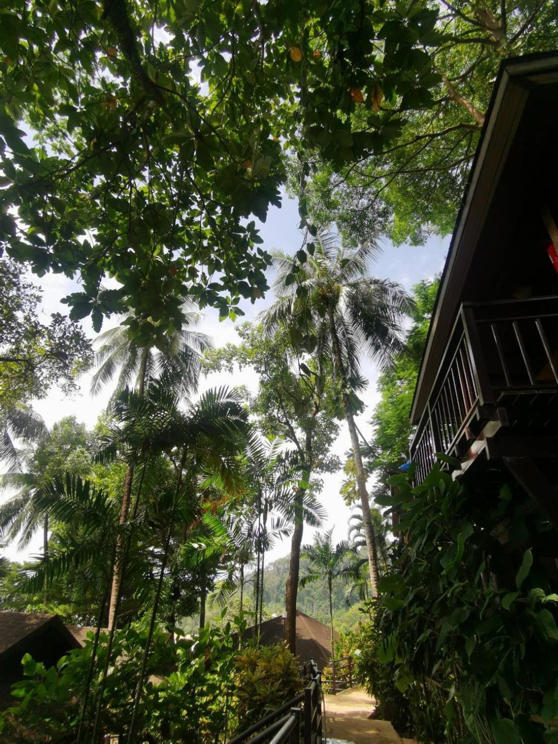 Baan Krating Khao Lak Resort - Sha Plus Eksteriør billede