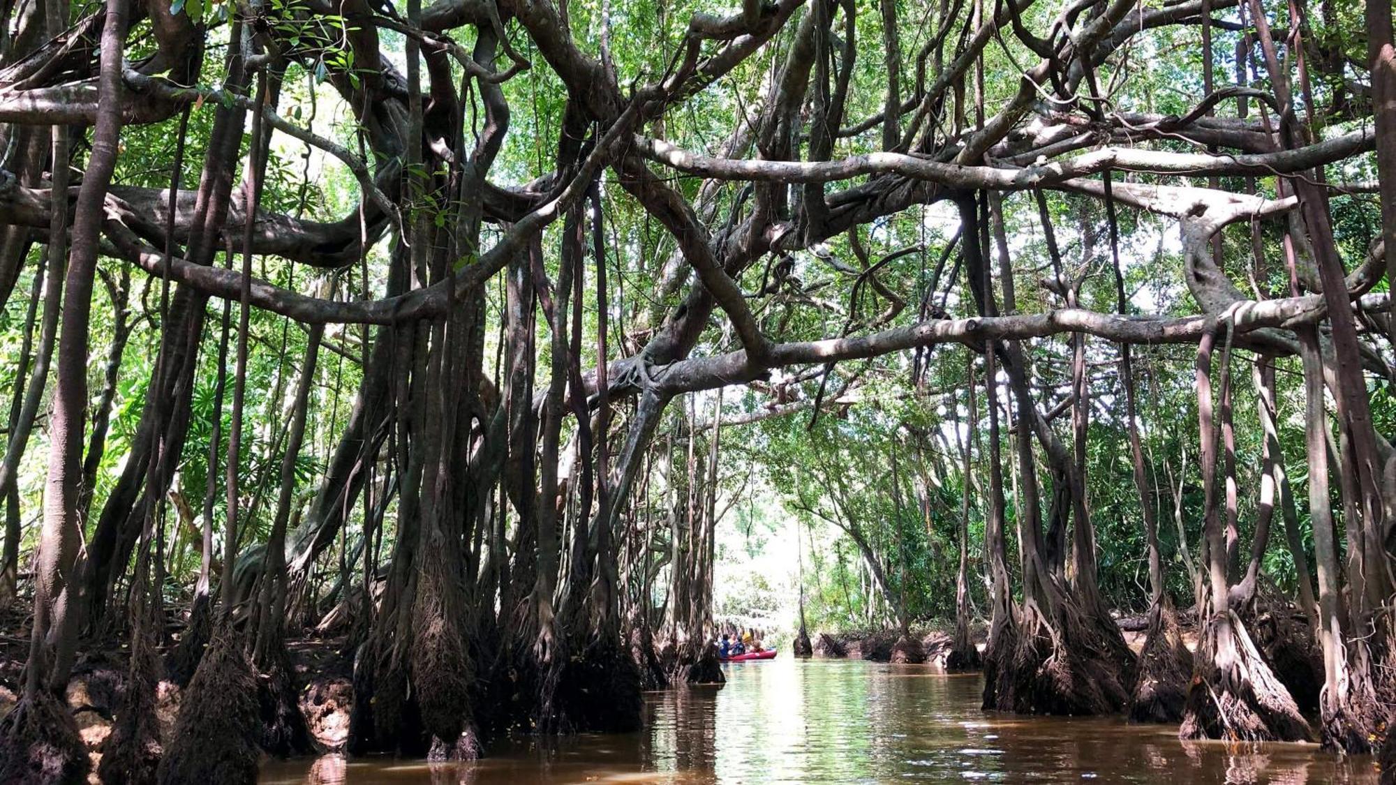 Baan Krating Khao Lak Resort - Sha Plus Eksteriør billede
